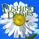Image for article titled Watch The Last Few Pushing Daisies, Then Find Out How It Really Ends